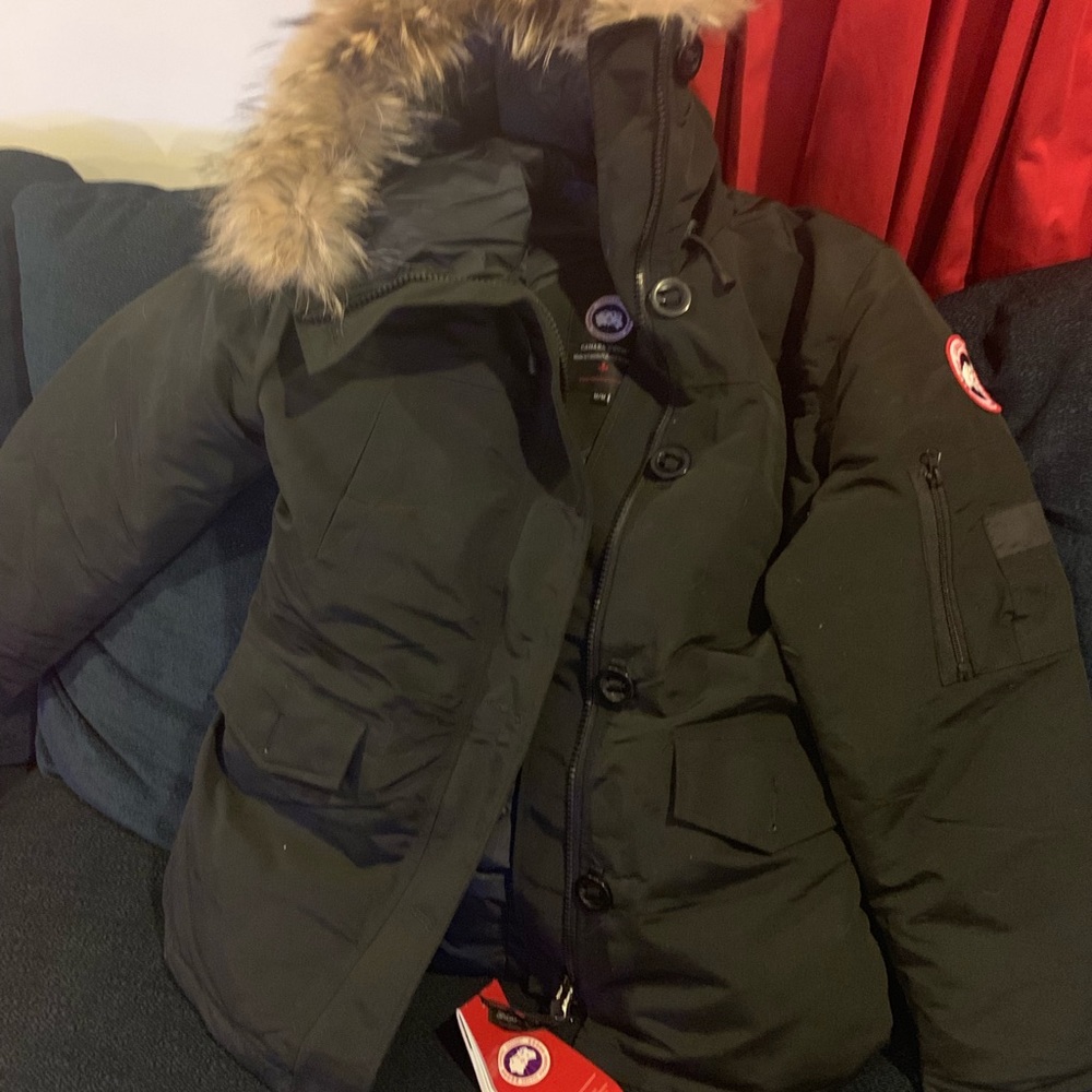 Canada goose